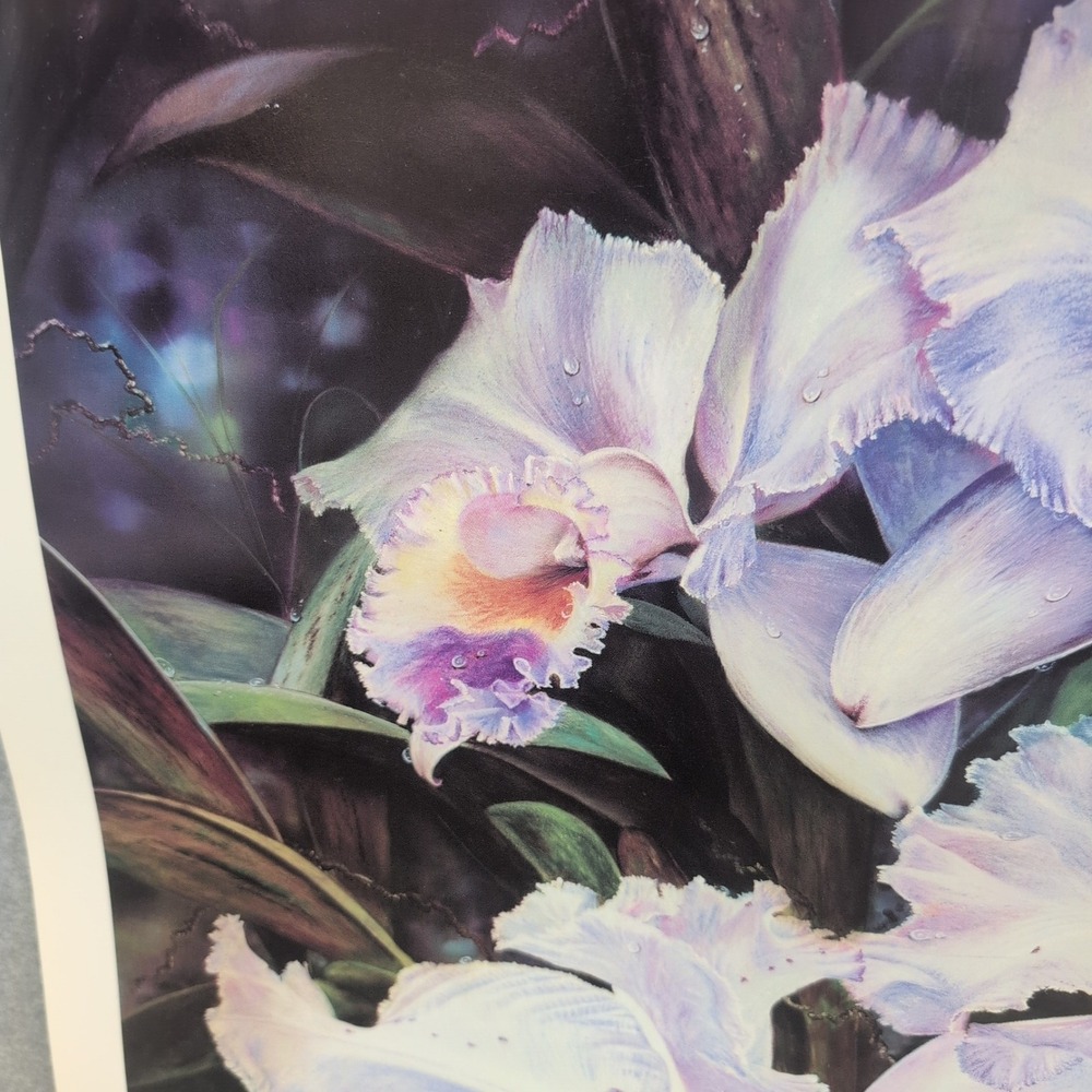 Sonia Torres Butterfly White Orchids‎ Dendrobium Artist Print Signed Limited Ed - Picture 2 of 8